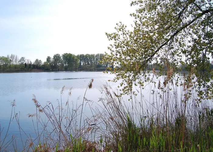 Апартаменты Milu *