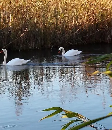 Апартаменты Milu